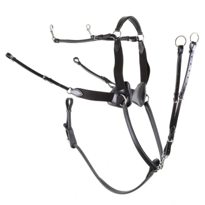 Image de Premiere Pectoral Full Noir