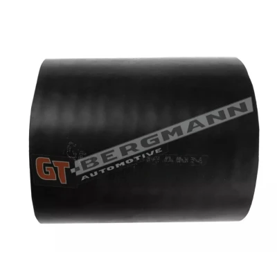 Image de GATES 09 0559 Gaine De Suralimentation PE (polyéthylène) LAND ROVER: Freelander I SUV Cabriolet,