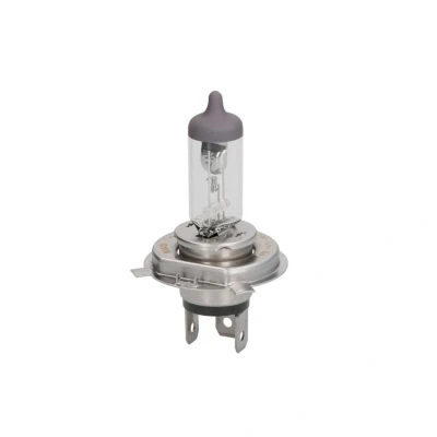 Image de BOSCH 1 987 302 048 Ampoule, projecteur longue portée H4 12V 60/55W Halogène VOLKSWAGEN: Polo V 3/5 portes, Passat B5 GP Break, GOLF 3