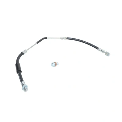 Image de DELPHI LH7076 Flexible De Frein Banjo LAND ROVER: Range Rover 3