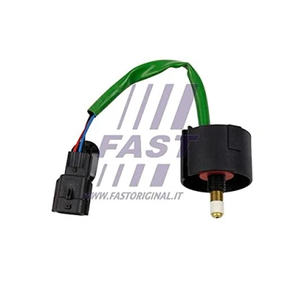 Image de FAST FT75562 Palpeur de niveau, circuit carburant RENAULT: LAGUNA 3, 3 Grandtour