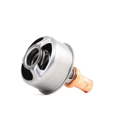 Image de Thermostat d&#039;eau CALORSTAT by Vernet TH4495.86