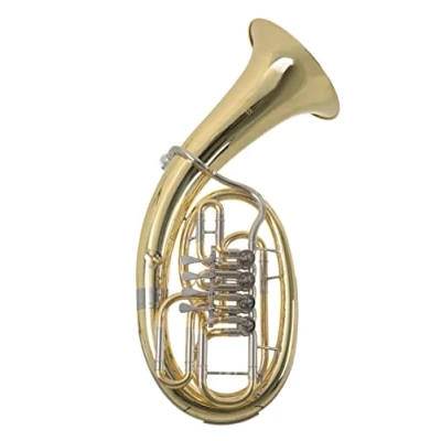 Image de Roy Benson BH 202 Baryton Sib avec Etui