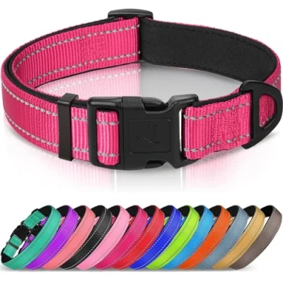 Image de Joytale Collier pour Chien en Nylon avec Bande Réfléchissante,Collier Rembourré Classique Moyenne Chien,Rose Vif,M