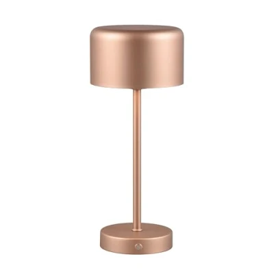 Image de Reality Leuchten Lampe de table sans fil à LED Jeff R59151165, café en métal, avec 1,5 watt, 4x tactile