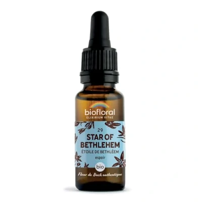 Image de Pranarôm BIOFLORAL 29 Star of Bethlehem, Étoile de Bethléem BIO DEMETER Espoir Fleur Bach Authentique Compte gouttes 20 ML
