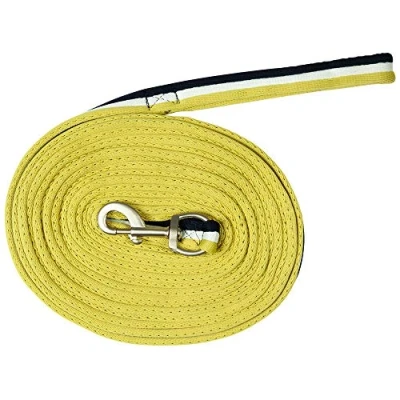 Image de PFIFF 101196 Longe Souple Mousqueton Environ 8,20 m Bleu/Blanc/Citron Vert