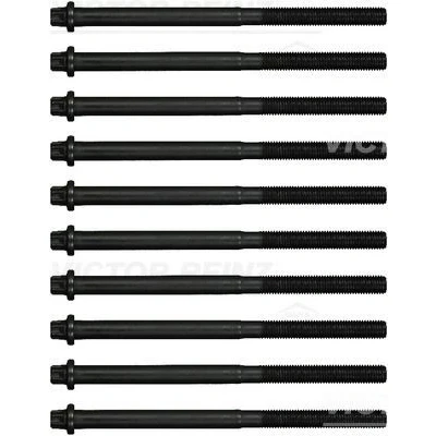Image de REINZ 14 17059 01 Jeu De Vis Culasse Torx extérieur BMW: 7, X6, X5