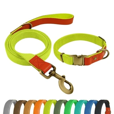 Image de QRDA Ensemble Collier et Laisse pour Chien Jaune Fluorescent Personnalisé Ceinture Tactique Réglable Petits Chiens Moyens Grands