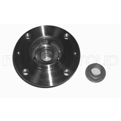 Image de METELLI 19 2444 Kit de roulements roue PEUGEOT: 307 3/5 portes, SW, CC, CITROËN: C4 Coupe, I portes