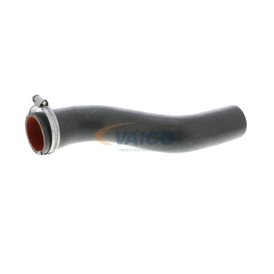 Image de VAICO V46 0738 Gaine De Suralimentation Caouchouc textilé Q+, Première Monte RENAULT: Kangoo II Express, / Grand Kangoo, Be Bop