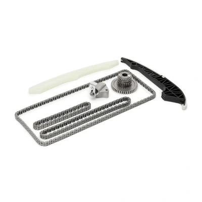 Image de SKF VKML 81309 Jeu de distribution à chaînes AUDI: A4 B8 Berline, A3 Cabriolet, 3/5 portes, VOLKSWAGEN: GOLF 6, Scirocco III, Tiguan I