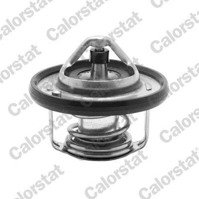 Image de CALORSTAT by Vernet TH6949.88J Thermostat d&#039;eau 88C avec joint d&#039;étanchéite