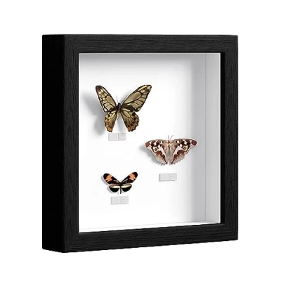 Image de EUGAD 3D Cadre photo Vitre en plastique avec Papier Passe partout, bois de Boîte d&#039;Ombre pour Objets jusqu&#039;à 3cm, 20x20cm, Noir