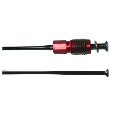 Image de Rayons droit Shimano WH RS81 C35 CL R
