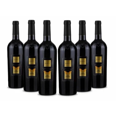 Image de Canti Gran Passero, Passito Rouge Italien I.G.T. 14,5%, Appassimento des Cépage Pouilles, Saveur Douce et Veloutée avec un Goût Sucré Floral, 6x750 ml