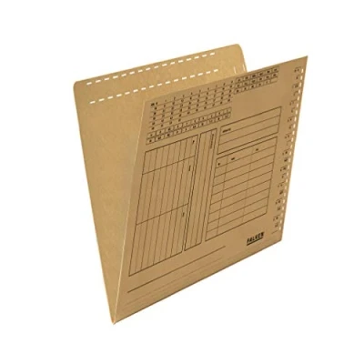 Image de Falken Réf. 80004377001F Carton de 100 chemises suspendus A4 Brun