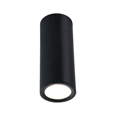Image de Paulmann 93107 Plafonnier Barrel Rond 6W 470lm gradable 100 3 Step Dim 60mm Noir Mat Métal 2700K luminaire en saillie + LED Coin remplaçable, 6 W