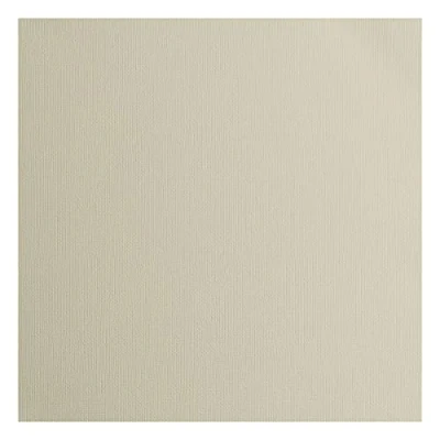 Image de Florence Papier Cartonné Gris Rugueux 30,5 x cm Mouse 20 feuilles 216 g/m² pour Scrapbooking, Carterie, Perforation et Faire Part de Mariage