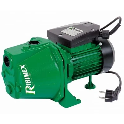 Image de Ribiland 04201 Pompe à Eau de Surface Vert 1180 W
