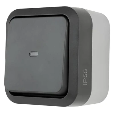 Image de REV AquaStorm Interrupteur de contrôle pour pièces humides IP55, unipolaire, montage en saillie, 230 V, 10 A, anthracite