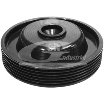 Image de 3RG 10618 Poulie Damper 122 6 RENAULT: LAGUNA 1, CLIO R21 5 portes