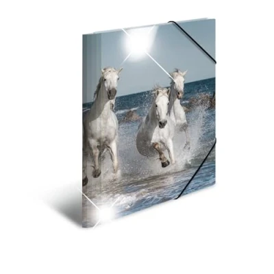 Image de HERMA 19329 Lot de 3 classeurs format A4 en plastique solide avec effet brillant et rabat intérieur imprimé élastique pour enfants, garçons filles