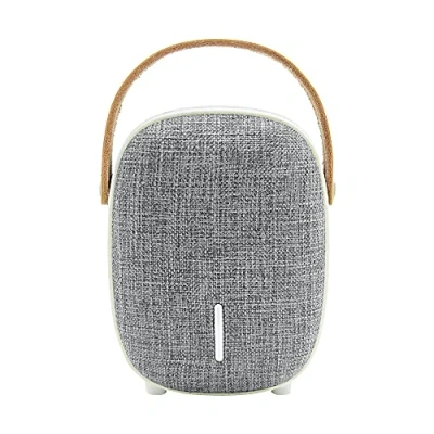 Image de LEICKE Enceinte Bluetooth Portable DJ Roxxx Étanche Haut Parleur (Mini Gris)