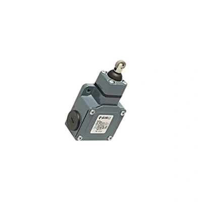 Image de FL 515 Interrupteur terminal NO + NC 10A max.500VAC max.250VDC IP67 PIZZATO ELET