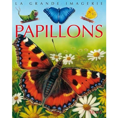 Image de Les Papillons Livre d’occasion Correct