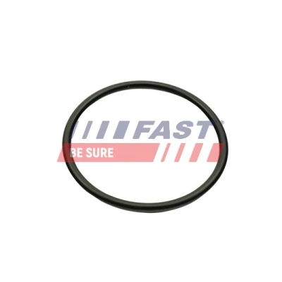 Image de FAST FT49460 Joint Collecteur d&#039;Admission Sortie RENAULT: MEGANE 2, CLIO Kangoo I, DACIA: Duster SUV, Logan I MCV, Sandero