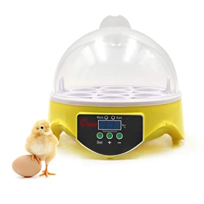 Image de Couveuse D&#039;Oeufs, Automatique à 7 Oeufs, ContrôLe Digital Intelligent De La TempéRature, Avec Affichage LED, Pour Oeufs Poule, Canard et Caille (EU)