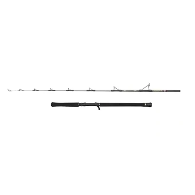 Image de PENN Canne à pêche Regiment IV Jig Cast, pour la en Eau salée très légère et Polyvalente, Argent, 1.84m, Rapide ambidextre