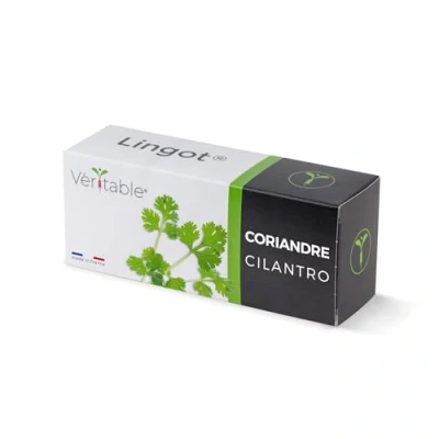 Image de Lingot® Coriandre Compatible Potager d&#039;Intérieur Véritable® et Exky® Recharge prête à l&#039;emploi Substrat avec Graines Intégrées