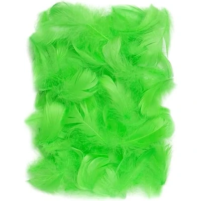 Image de Netuno 150 Plumes décoratives Vertes 10g duveteuses d&#039;oiseaux Naturelles pour Loisirs créatifs DIY Bricolage décorations de fêtes Attrape rêves Fabrication Masques