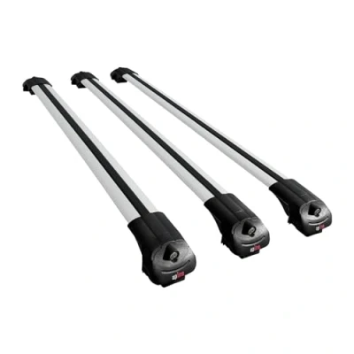 Image de Apline Compatible avec Peugeot Expert Traveller 2017 2024 Barres de Toit ACE 1 Railing Porte Bagages Voiture 3 BARRAS Gris