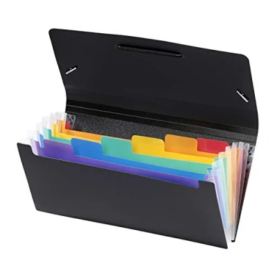 Image de Viquel Rainbow Class Trieur Accordéon de Bureau Porte document 6 Positions Organisateur extensible format Chèque en Plastique Noir 26 x 13 cm