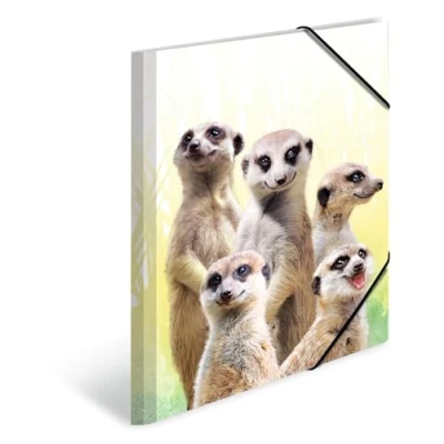 Image de Herma 19971 porte documents DIN A3 Motif poupée de suricate en plastique solide avec rabats intérieurs imprimés, reliure élastique, à rabat, 1 pour enfants