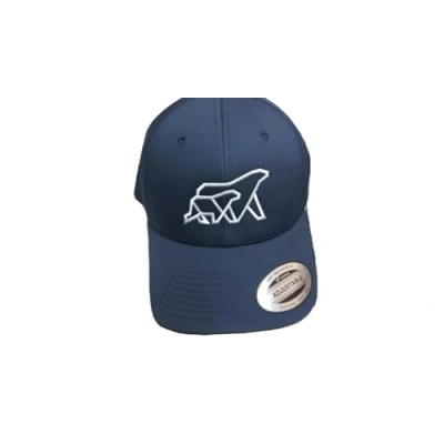 Image de Flexfit Curved Classic Snapback Casquette, Taille: One Size, Navy