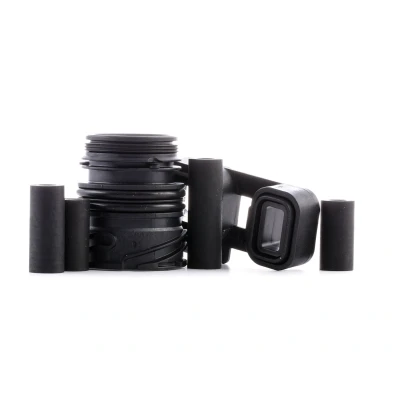 Image de ZF GETRIEBE 1068.298.090 Jeu de pièces, Vidange boîte automatique sans huile BMW: 3 Touring, X5, Berline, AUDI: Q5, A5 B8 Coupe, A6 C6 Berline