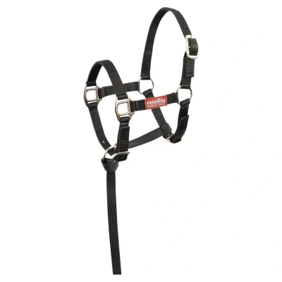 Image de Premiere Ensemble Poulain Halser Brisk Avec Mini Ligne Noir