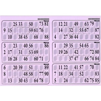 Image de cavernedesjouets Carton de Jeu Loto 6 grilles sur Une Plaque 29x20cm, Epais Rigide 1 mm, Usage Frequent Coloris Lilas Set ccessoire et Carte