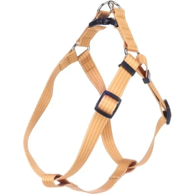 Image de Flamingo Harnais Chien Step&amp;Go Noekie Jaune M pour Réglable en continu avec Boucle à clic Anti Traction A:35 60cm B:35 x 20mm 2mm