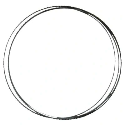 Image de Ryobi Lame pour scie à ruban 1572 x 6,35 mm 6 TPI RBS904 RAKBS6TPI