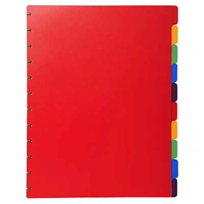 Image de Exacompta Réf. 86003E Intercalaires en polypro rigide multicolores pour protège documents amovible à anneaux 10 onglets neutres format A4 maxi dimensions 24 x 30,5 cm