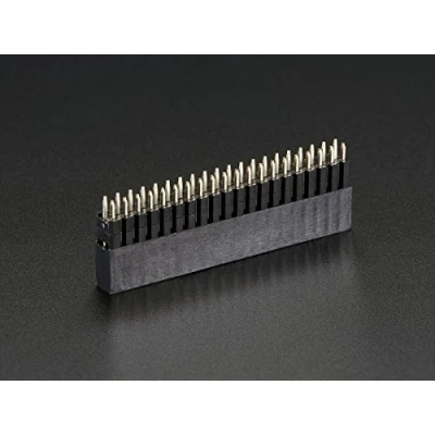Image de Adafruit GPIO Header for Raspberry Pi B+ Tall 2x20 Female