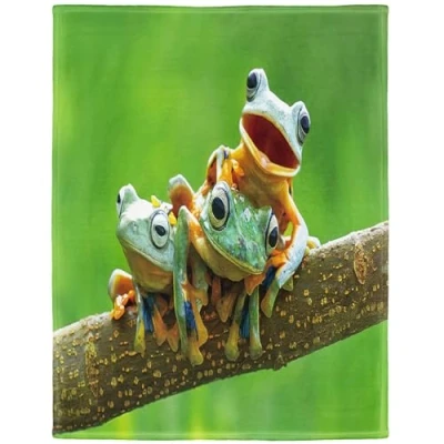 Image de YISUMEI 150x200 cm Couverture Flanelle Douce D¨coration de Canap¨ Lit Automne et Hiver Cute Frogs Art,Vert