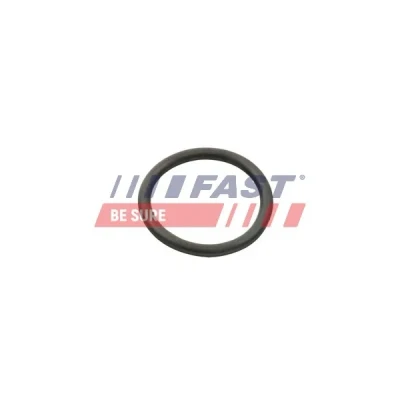 Image de FAST FT49934 Joint d&#039;étanchéité, Pompe à eau