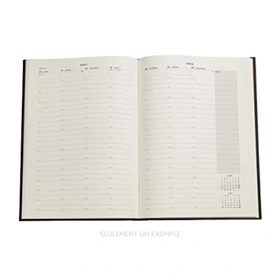 Image de Paperblanks Agendas 12 Mois 2023 Terrene Vertical Midi (130 x 180 mm)