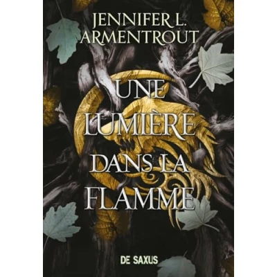 Image de Une Lumière dans La flamme (broché) Tome 02 Chair et le Feu (Grand format)